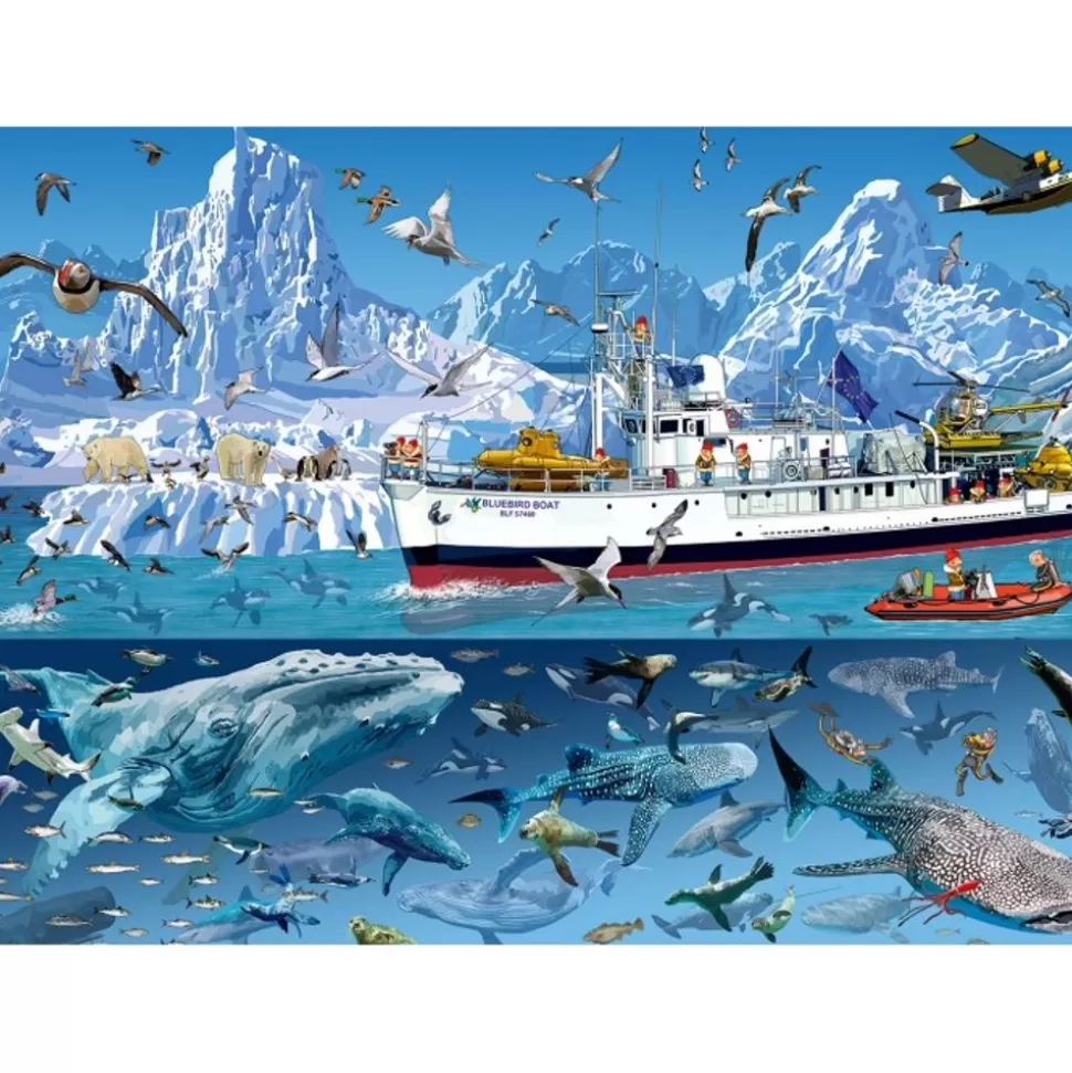 Best Francois Ruyer - Arctique - Bateau Bluebird 1500 Pieces